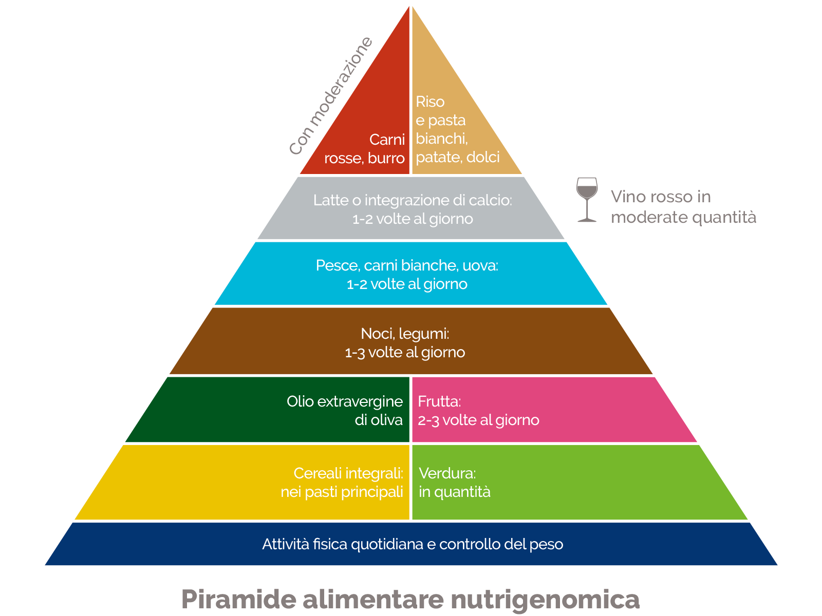 piramide-alimentare-nutrigenomica